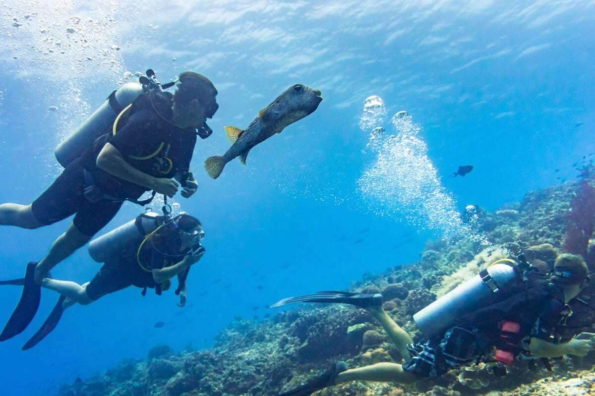 cursos y bautizos buceo lanzarote Lanzarote Buceo