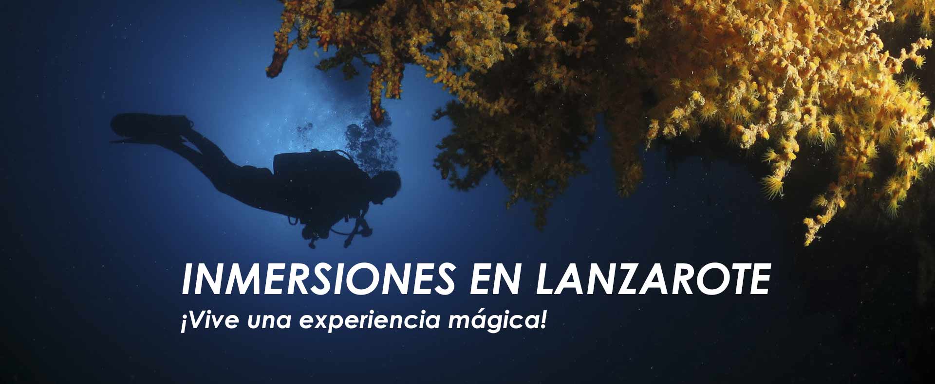 Buceo en Lanzarote Lanzarote Buceo