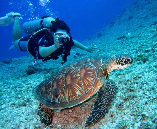 curso open water Buceo en Lanzarote