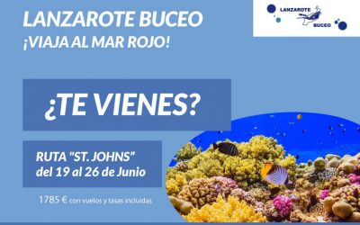 Lanzarote Buceo – Viaja al Mar Rojo