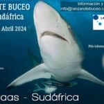 viaje a sudafrica 2024 Buceo en Lanzarote