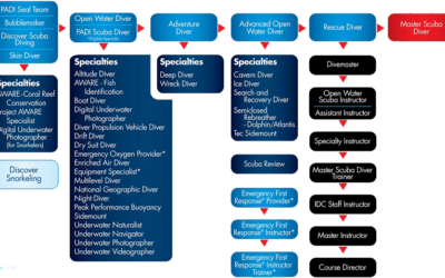 Niveles Cursos PADI: Guía completa