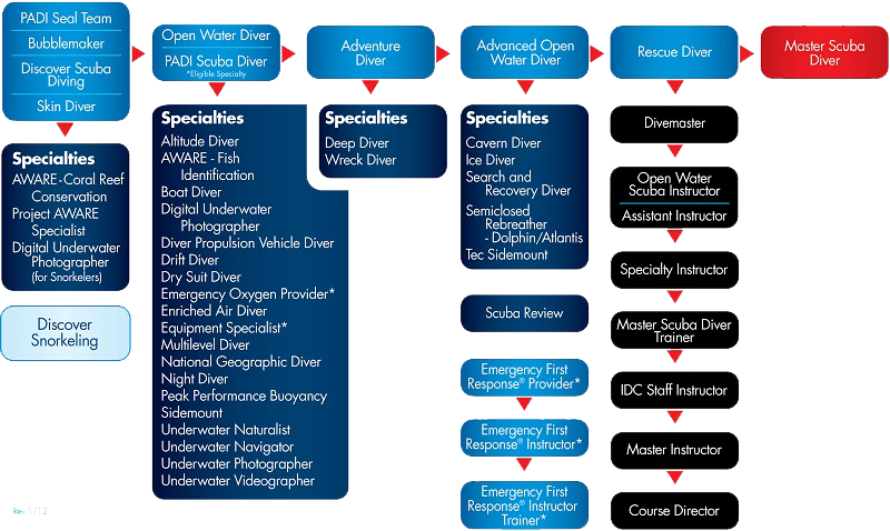 Niveles Cursos PADI