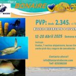 Viaje de Buceo a Bonaire – Del 12 al 20 de Abril 2025