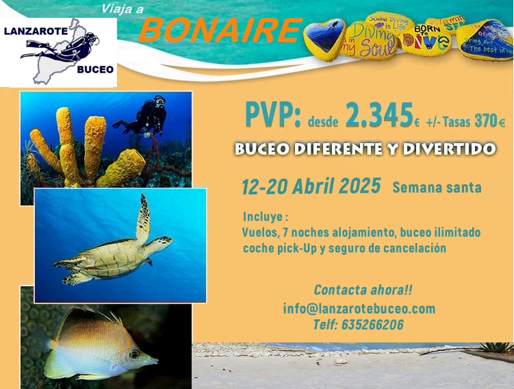 papeleta bonaire Buceo en Lanzarote