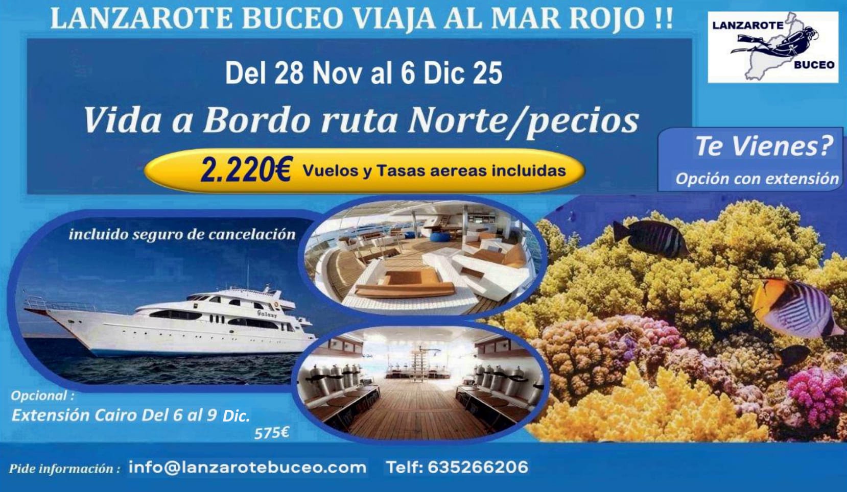 Mar Rojo Noviembre 2025 WhatsApp Image 2025 04 30 at 11.54.45 Buceo en Lanzarote